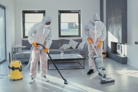 Professional Cleaning Service in Rownhams