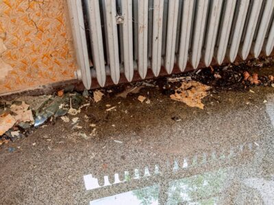 Fire, Smoke & Flood Damage company in Rownhams