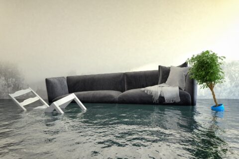 Flood Water Damage Repairs in Rownhams